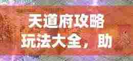 天道府攻略玩法大全，助你轻松玩转游戏！