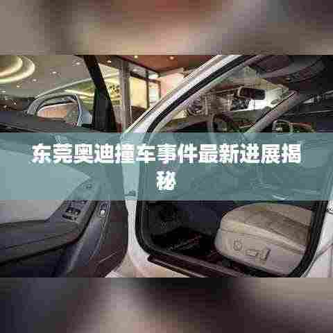 东莞奥迪撞车事件最新进展揭秘