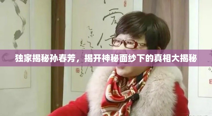独家揭秘孙春芳，揭开神秘面纱下的真相大揭秘