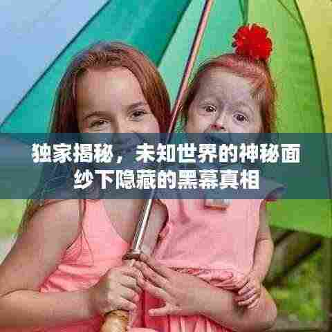 独家揭秘，未知世界的神秘面纱下隐藏的黑幕真相