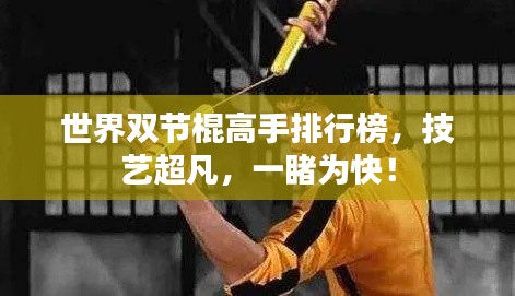 世界双节棍高手排行榜，技艺超凡，一睹为快！