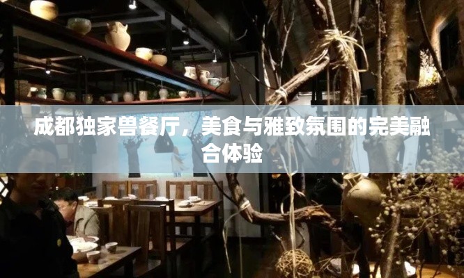 成都独家兽餐厅，美食与雅致氛围的完美融合体验