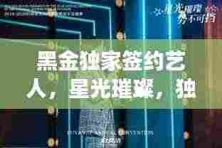 黑金独家签约艺人,星光璀璨,独家魅力闪耀全场