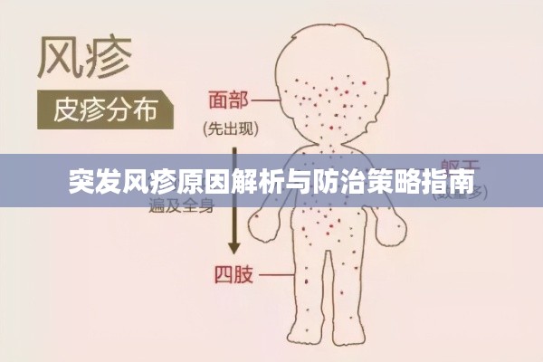 突发风疹原因解析与防治策略指南