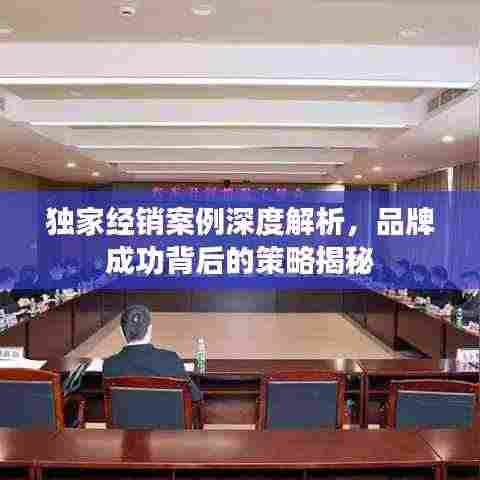 独家经销案例深度解析，品牌成功背后的策略揭秘