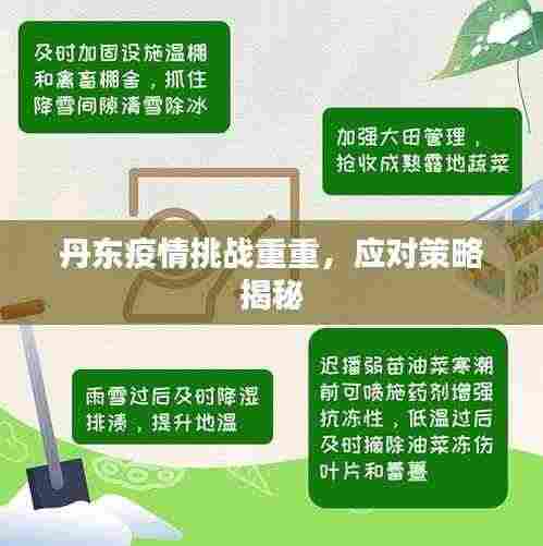 丹东疫情挑战重重，应对策略揭秘