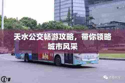 天水公交畅游攻略，带你领略城市风采