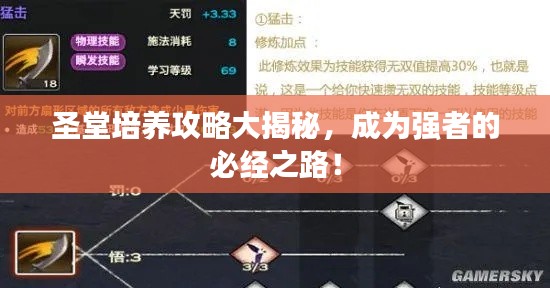 圣堂培养攻略大揭秘，成为强者的必经之路！