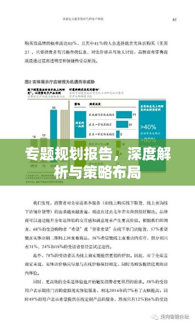 专题规划报告，深度解析与策略布局