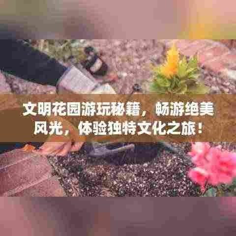 文明花园游玩秘籍，畅游绝美风光，体验独特文化之旅！