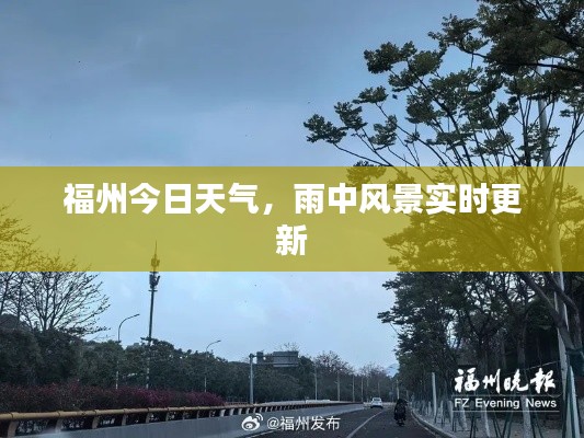 福州今日天气，雨中风景实时更新