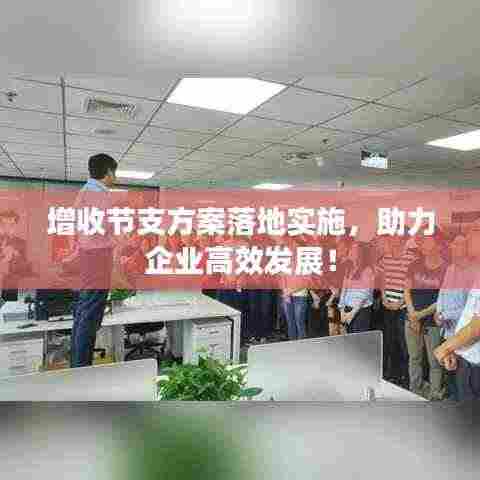 增收节支方案落地实施，助力企业高效发展！