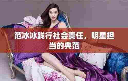 范冰冰践行社会责任，明星担当的典范