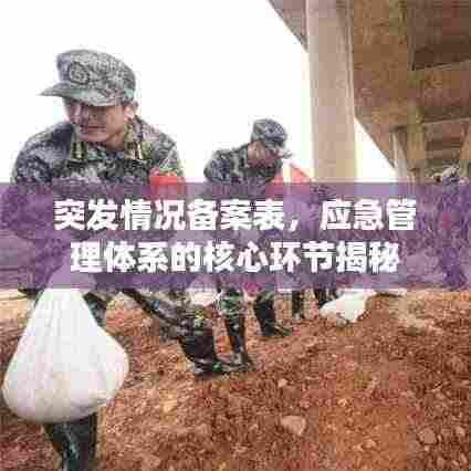 突发情况备案表，应急管理体系的核心环节揭秘