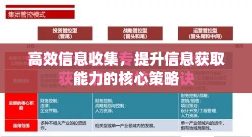 高效信息收集，提升信息获取能力的核心策略