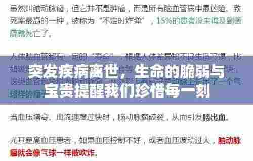 天南地北 第4页