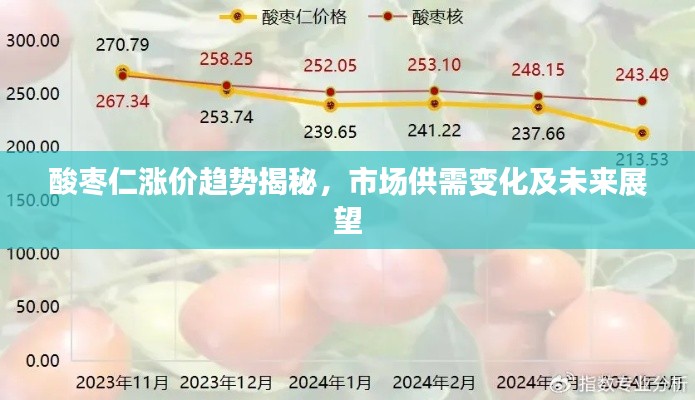 酸枣仁涨价趋势揭秘，市场供需变化及未来展望