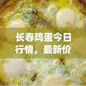 长春鸡蛋今日行情，最新价格与市场走势分析