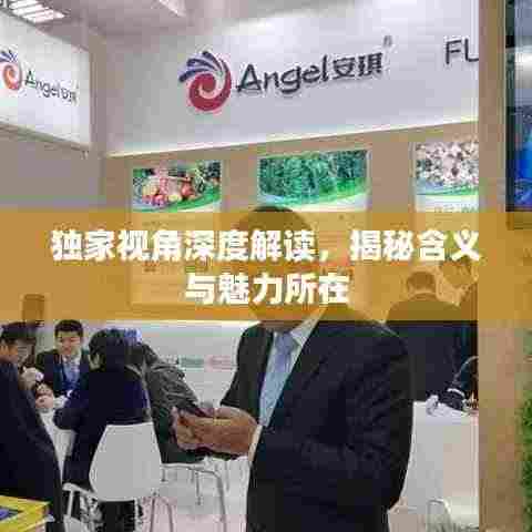 独家视角深度解读，揭秘含义与魅力所在