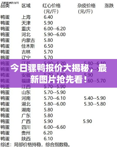 今日骡鸭报价大揭秘，最新图片抢先看！