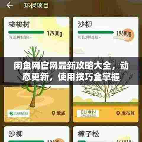 闲鱼网官网最新攻略大全，动态更新，使用技巧全掌握