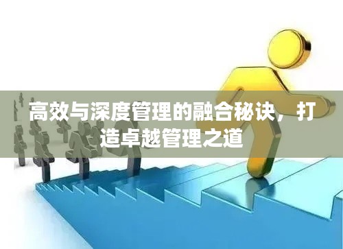 高效与深度管理的融合秘诀，打造卓越管理之道