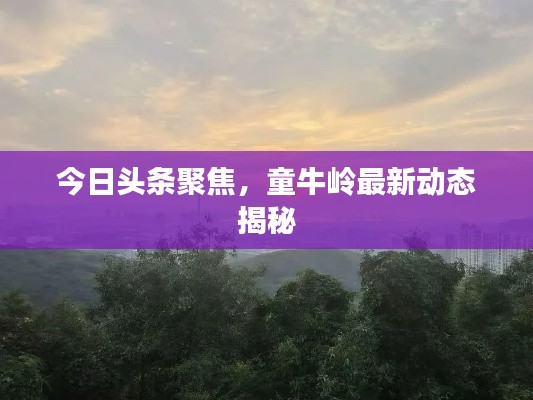 打张鸡儿 第3页