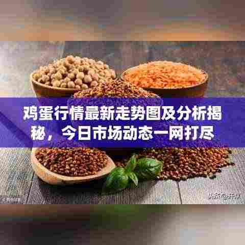 鸡蛋行情最新走势图及分析揭秘，今日市场动态一网打尽