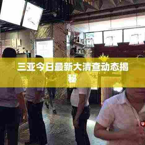 三亚今日最新大清查动态揭秘