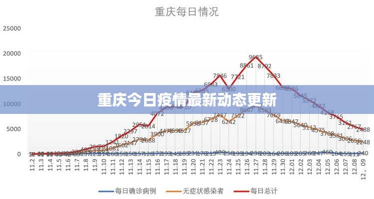 重庆今日疫情最新动态更新