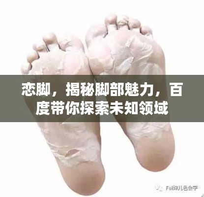 恋脚，揭秘脚部魅力，百度带你探索未知领域