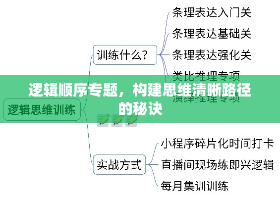 逻辑顺序专题，构建思维清晰路径的秘诀