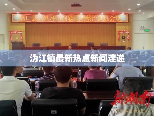 沩江镇最新热点新闻速递