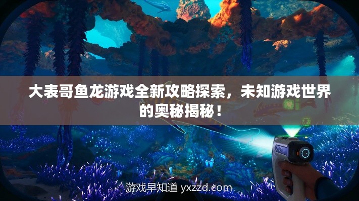 大表哥鱼龙游戏全新攻略探索,未知游戏世界的奥秘揭秘!