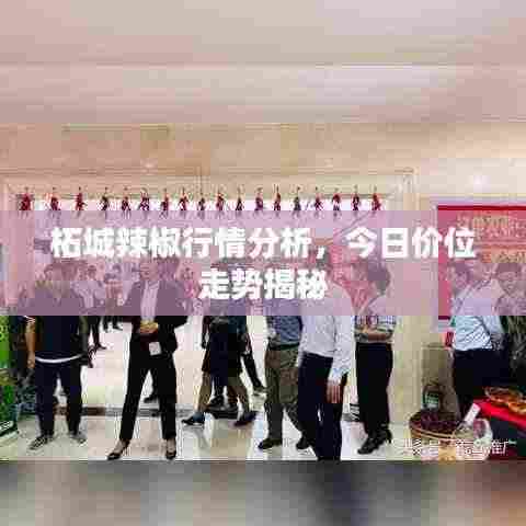 柘城辣椒行情分析，今日价位走势揭秘