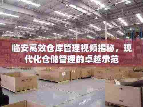 临安高效仓库管理视频揭秘，现代化仓储管理的卓越示范