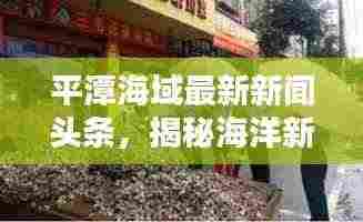 平潭海域最新新闻头条，揭秘海洋新动态