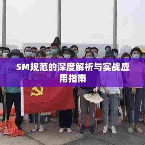 SM规范的深度解析与实战应用指南