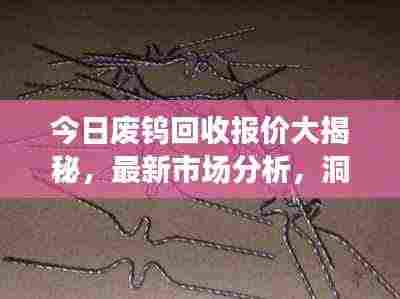 今日废钨回收报价大揭秘，最新市场分析，洞悉市场动态！