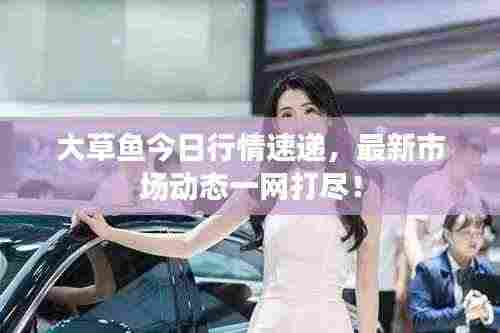 大草鱼今日行情速递，最新市场动态一网打尽！