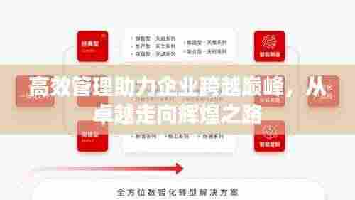 高效管理助力企业跨越巅峰，从卓越走向辉煌之路