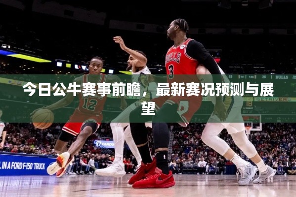 今日公牛赛事前瞻，最新赛况预测与展望