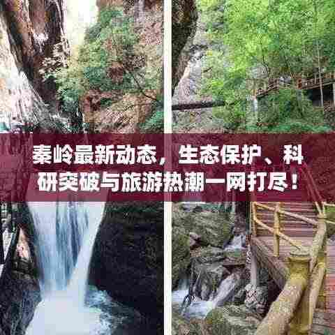 秦岭最新动态，生态保护、科研突破与旅游热潮一网打尽！