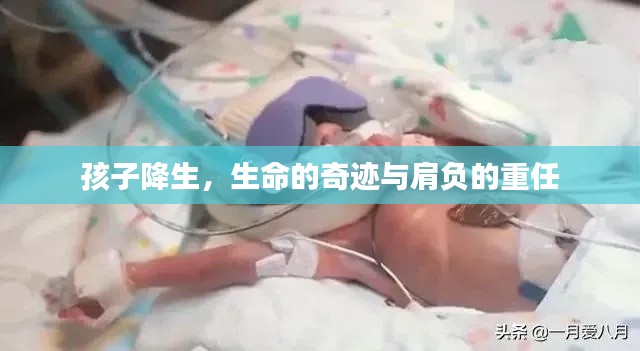 孩子降生，生命的奇迹与肩负的重任