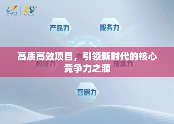 高质高效项目，引领新时代的核心竞争力之源