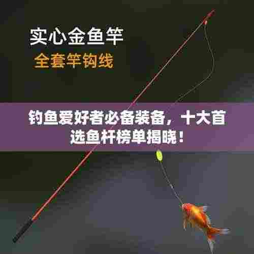 钓鱼爱好者必备装备，十大首选鱼杆榜单揭晓！