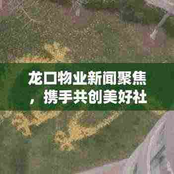 龙口物业新闻聚焦，携手共创美好社区未来