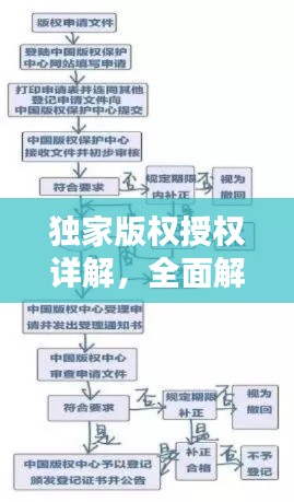 独家版权授权详解，全面解析+操作指南，快速查询授权状态！