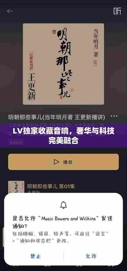 LV独家收藏音响，奢华与科技完美融合