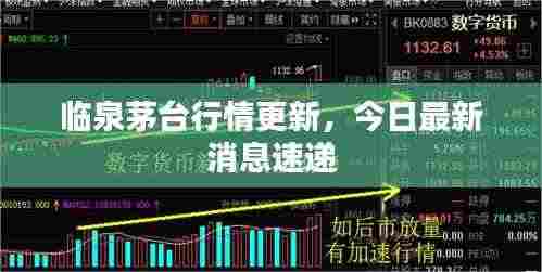 临泉茅台行情更新，今日最新消息速递